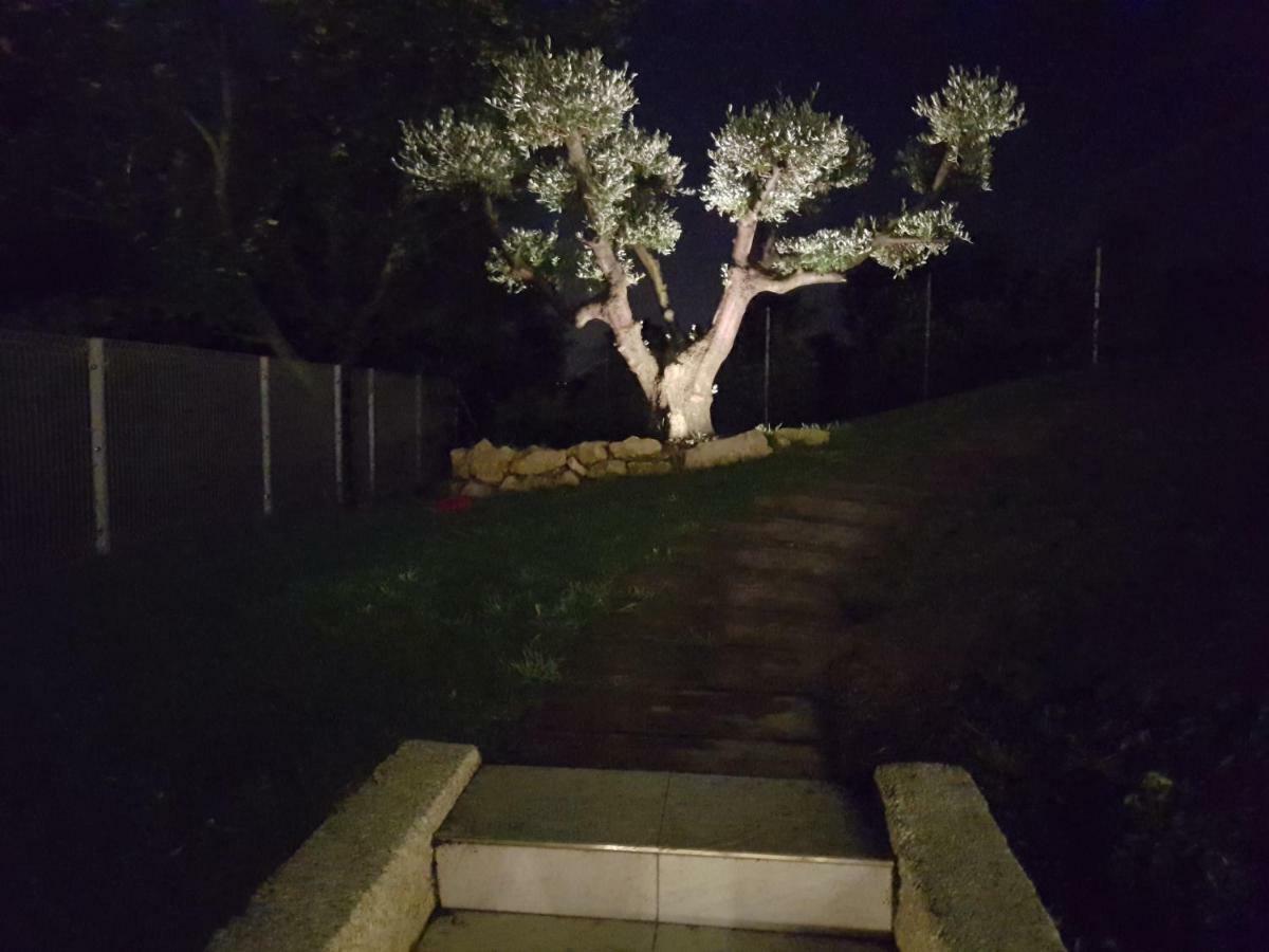 Monteviale Tobaland B&B מראה חיצוני תמונה